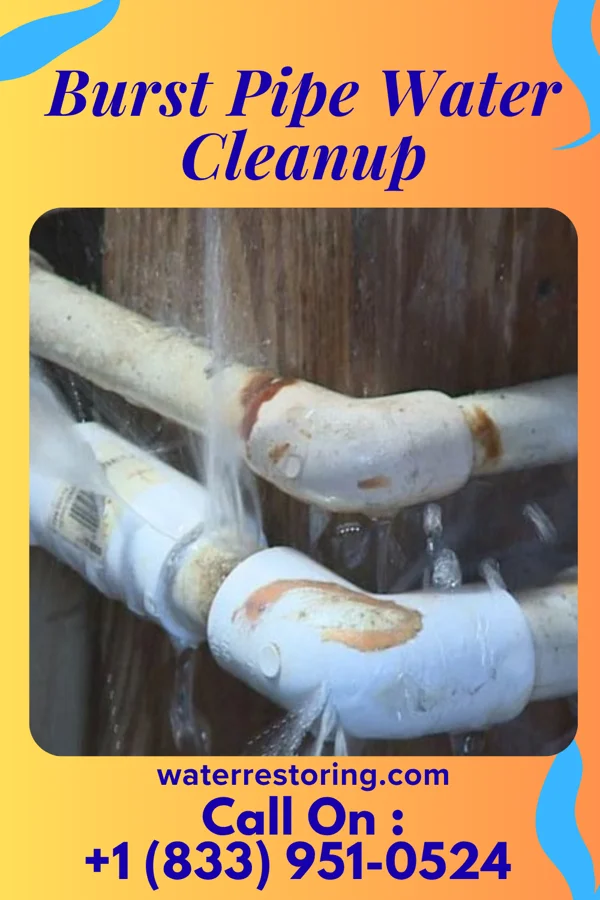 Burst Pipe Water Cleanup in Hewitt, WI