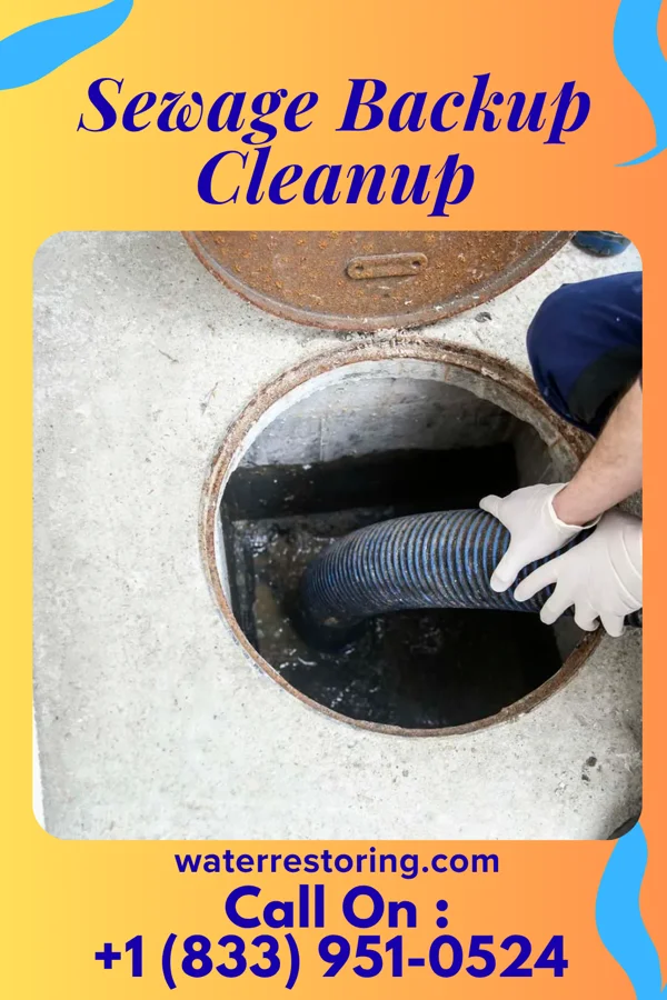 Sewage Backup Cleanup in Hewitt, WI