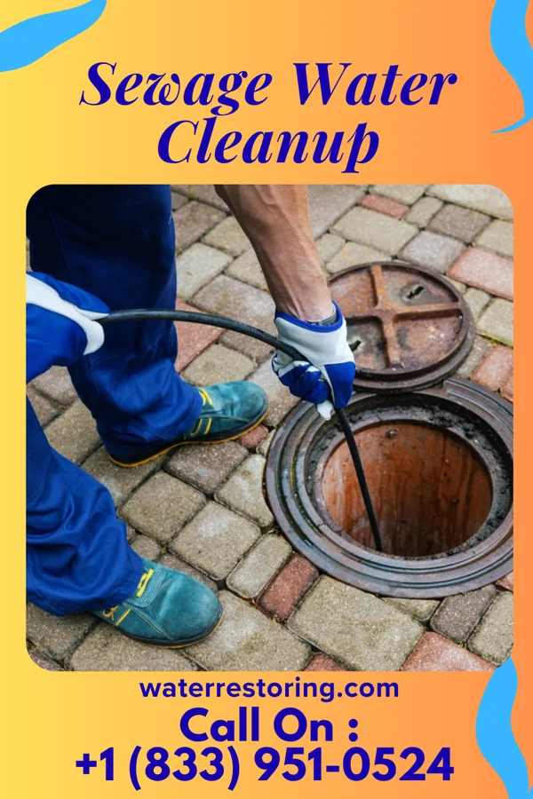Sewage Water Cleanup in Hewitt, WI